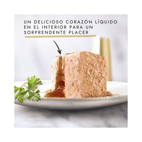 Purina-Gourmet-Gold-Fondant-con-Pollo-en-Paté-Gato-Latas-Textura
