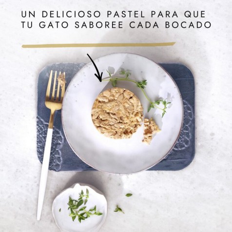 Purina-Gourmet-Gold-Tartelette-Pollo-y-Zanahoria-Gato-Latas