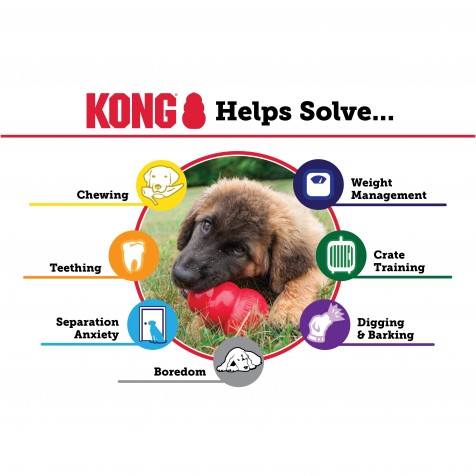 Kong-Puppy-Mordedor-para-Cachorros