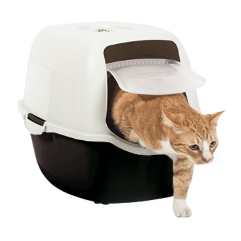 Rotho-My-Pet-Bailey-Cat-Toilet-para-Gatos