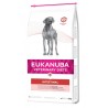 Eukanuba Veterinary Diets Intestinal Perro