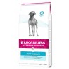 Eukanuba Veterinary Diets Joint Mobility Perros