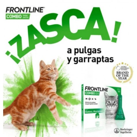 combo-frontline-gato-pipetas-zasca