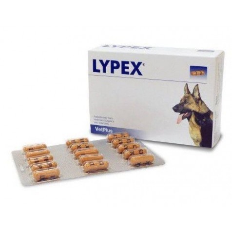 Lypex-Blister