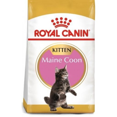 Comprar-Royal-Canin-Gato-Kitten-Maine-Coon