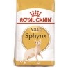 Royal Canin Gato Sphynx Adult