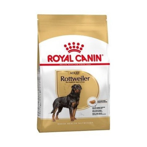 royal-canin-adulto-rottweiler