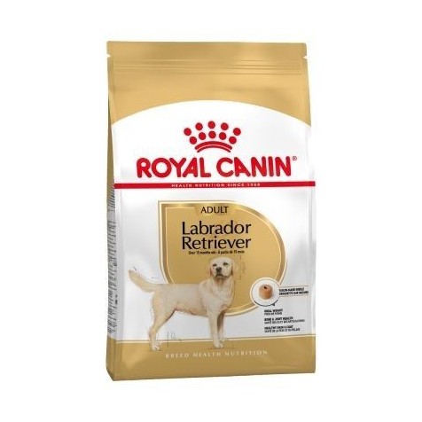Royal-Canin-Adulto-Labrador-Retriever