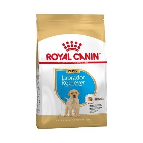 Royal-Canin-Puppy-Labrador-Retriever