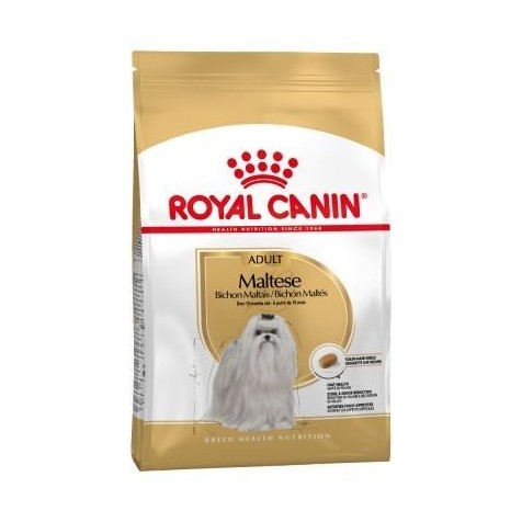 Royal-Canin-Bichón-Maltés-Adult