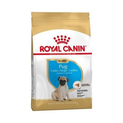 royal-canin-puppy-carlino