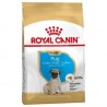 Royal Canin Puppy Carlino