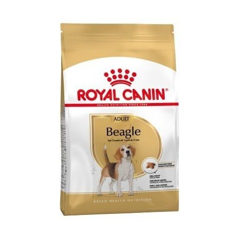 Royal-Canin-Beagle-Adult
