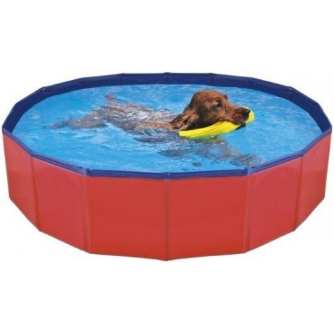 Comprar-piscina-para-perros