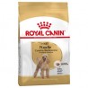 Royal Canin Adult Caniche