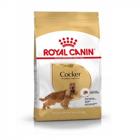 royal-canin-adulto-cocker
