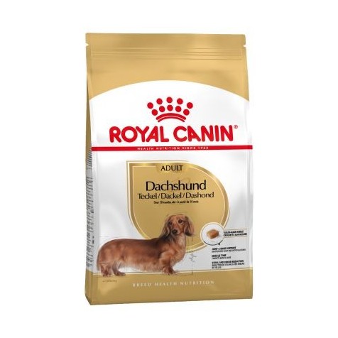 royal-canin-adulto-dachshund
