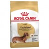 Royal Canin Adulto Dachshund