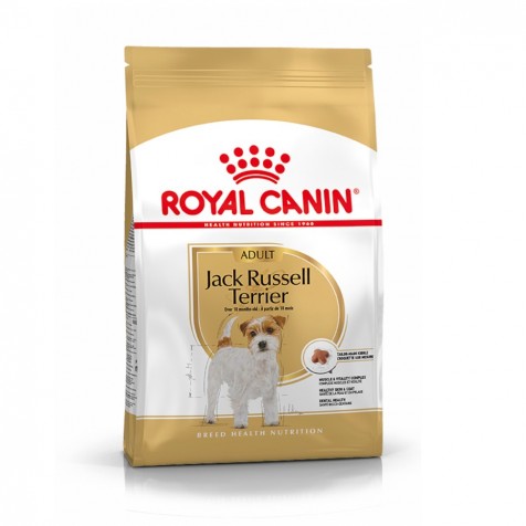 royal-canin-adulto-jack-russell-terrier
