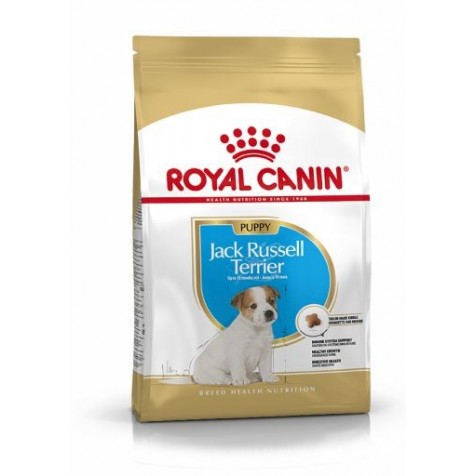 royal-canin-jack-russell-puppy