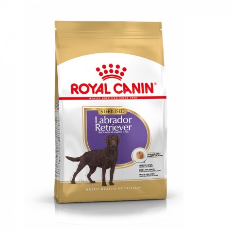 royal-canin-labrador-retriever-sterilised