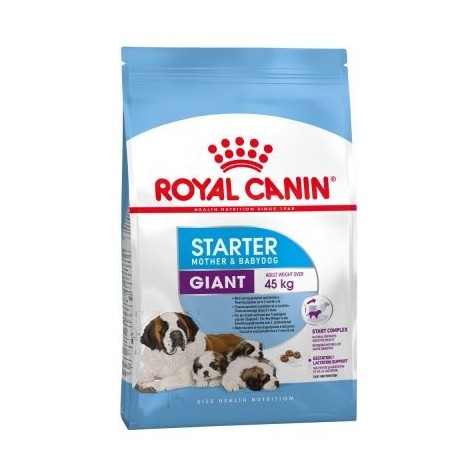 royal-canin-giant-starter