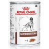 Royal Canin Gastrointestinal Perro Latas