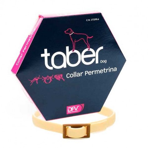 Collar-Taberdog-40-cm