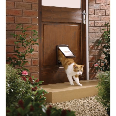 puerta-para-perros-pequeños-y-gatos-marrón1