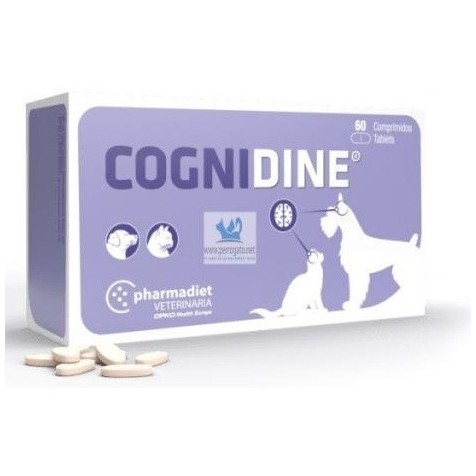 Cognidine-comprimidos
