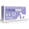 Cognidine 60 comprimidos