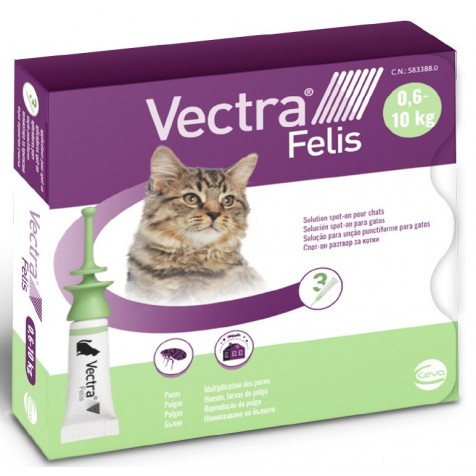 vectra-3D-gato