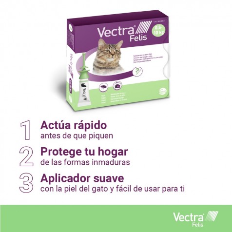 vectra-3D-gato-8