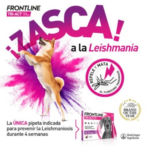 frontline-tri-act-leishmaniosis