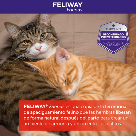 Feliway-Friends-Difusor-Recambio-48-ml
