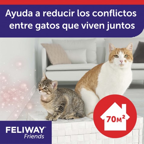 Feliway-Friends-Gato-Pack-3-Recambios-conflictos