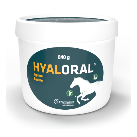 Hyaloral-Equino