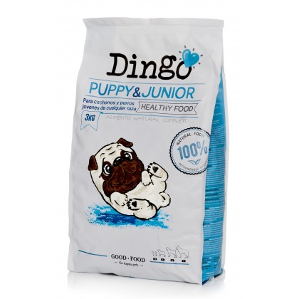 Dingo-Puppy-&-Junior