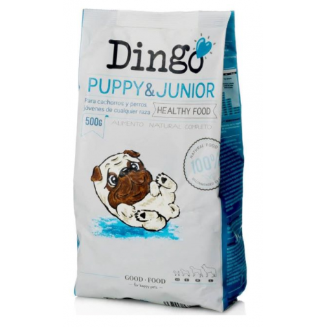 Dingo-Puppy-&-Junior