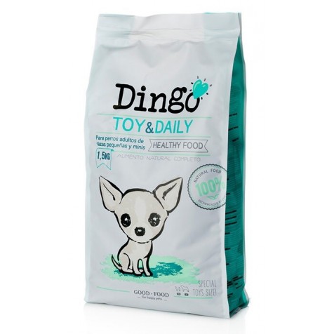 Dingo-Toy-&-Daily-1.5