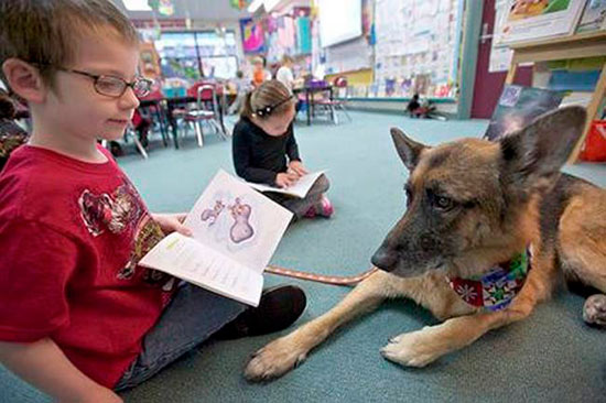 biblioteca Estonia leyendo a perros - Perros refugiados atendidos por niños