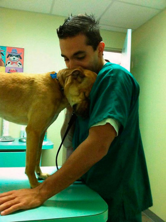 veterinario besando a perro - Trabajar con animales, un placer en imágenes