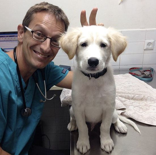 veterinario bromeando con perro - Trabajar con animales, un placer en imágenes