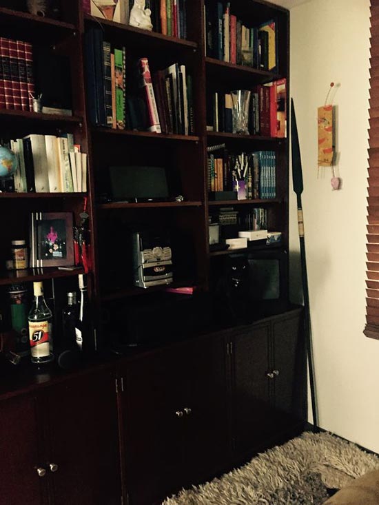 gato camuflado 13 - Encuentra el gato escondido en estas fotos