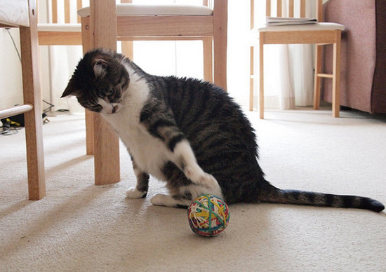 juguete casero gato pelota - Juguetes reciclados para gatos