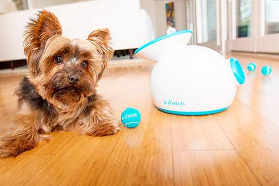 iFetch lanza pelotas perro - Imágenes tecnológicas de perros y gatos