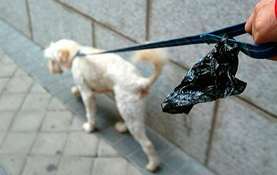 recogida heces perro - Heces de perros. ¿Multas o tareas de limpieza?