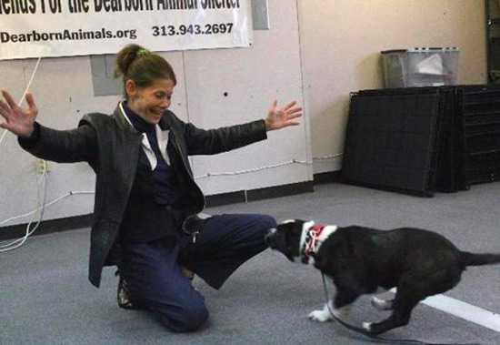 reencuentro perro perdido microchip - El reencuentro de una mujer y su perro