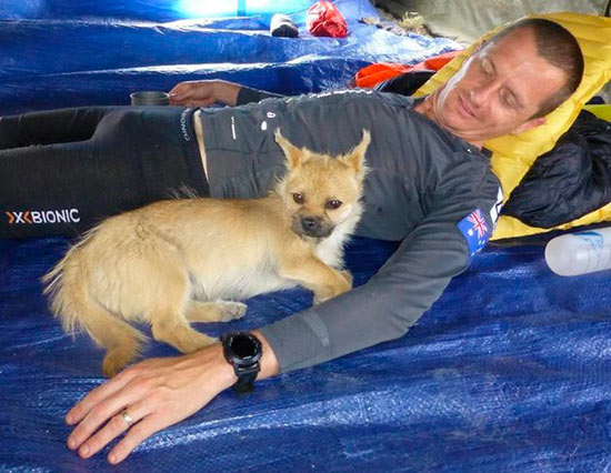 Dion Leonard y Gobi - Gobi, perrita ´maratoniana´perdida en China