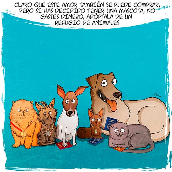 comic perro adoptado bird born 10 - Bird Born para adoptar un perro